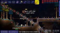 泰拉瑞亚召唤师饰品
