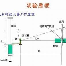 杨姓的含义