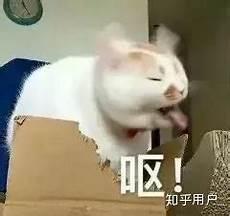 怎么骂人才能把对方气死