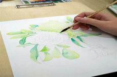 零基础学美术